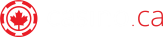 Company icon